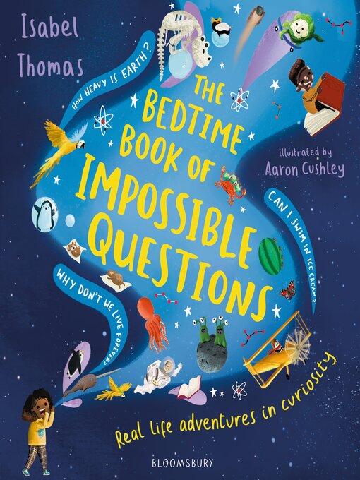 Cover image for The Bedtime Book of Impossible Questions